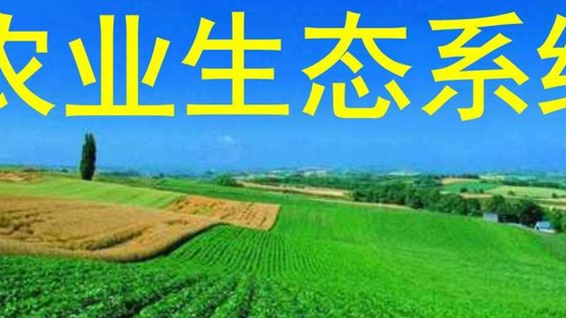 农业机械价格表背后藏着哪些门道