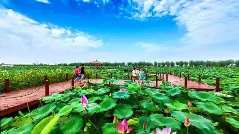 铺设防水层：根据所选防水材料的不同，具体操作方法也有所区别。以下以防水涂料为例：