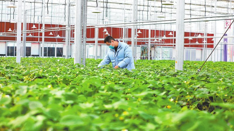 农机合作社农机入股分配方案：合理配置，共创双赢