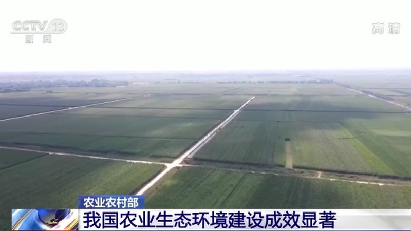 水果绿色食品认证：价格背后的价值考量
