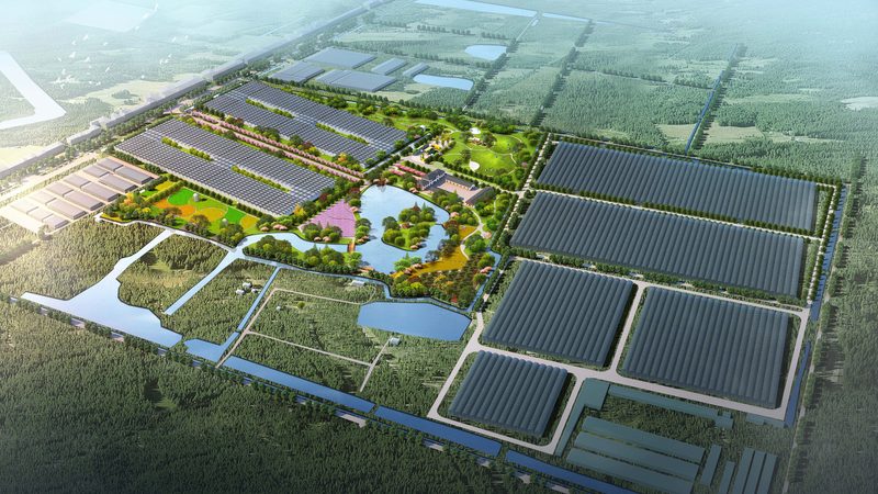 学校生鲜配送承包合同模板：构建安全、高效的校园食品安全保障