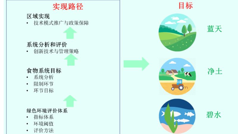 城市屋顶农业种植：如何打造空中绿色生态园