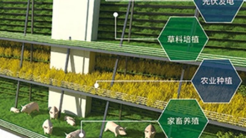 地域差异下的种植补贴政策解析