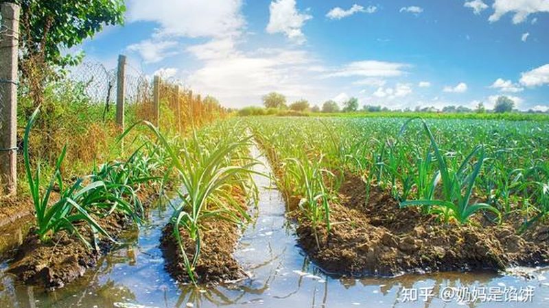 现代农业产业链构建需要多少资金