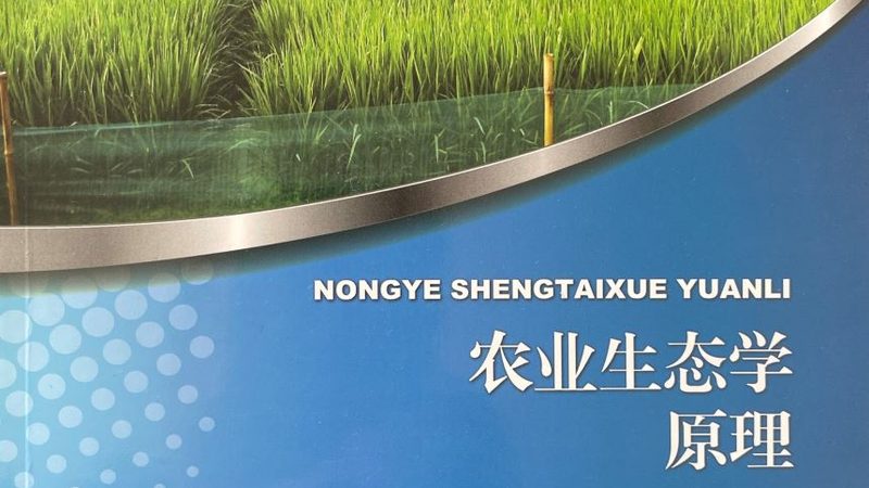蓝莓园里看不见的节水账