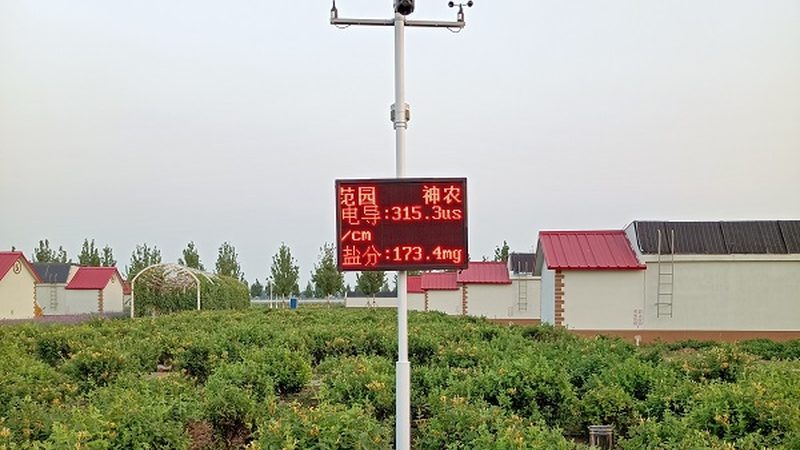 农产品线上线下融合：流程揭秘与趋势展望