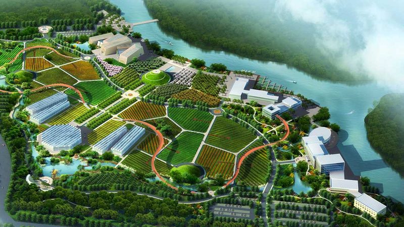 养殖合作社经营范围全解析：多元化发展，助力农业现代化
