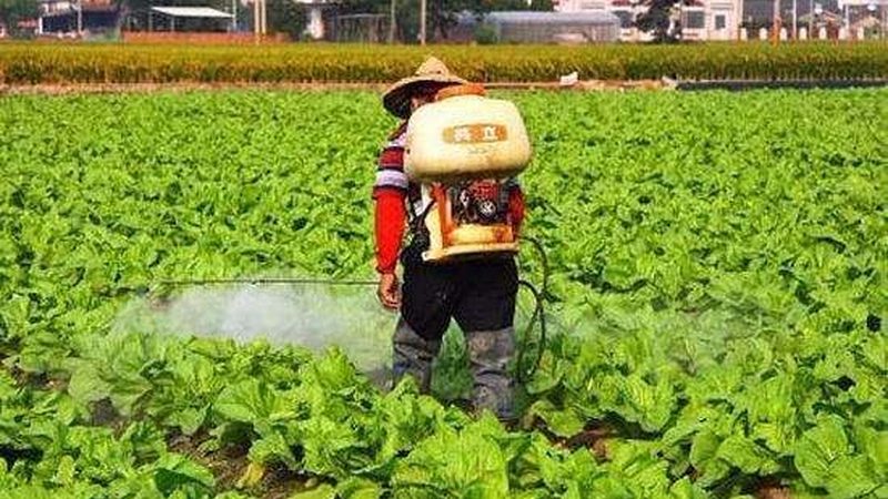 农产品代理加盟：费用构成与考量要点