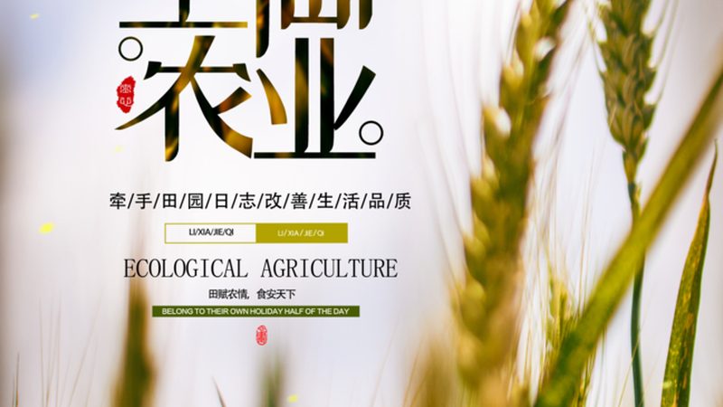 生态养殖，奶牛品种如何选？**